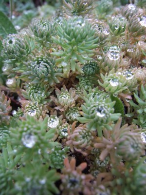 DSCF3692.JPG