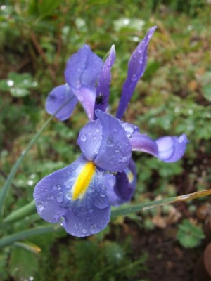 DSCF3684.JPG