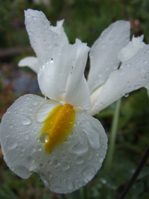 DSCF3679.JPG