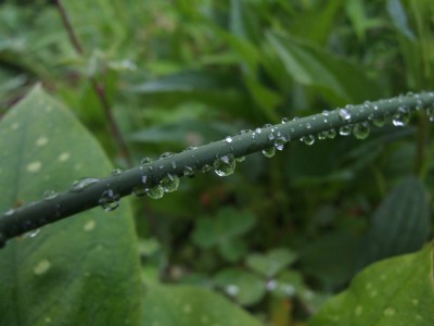 DSCF3670.JPG
