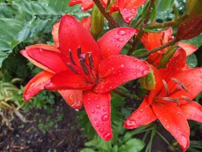 DSCF3667.JPG