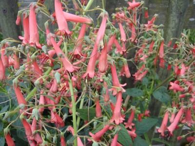 Bild 001.jpg