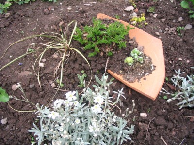 Bild 854.jpg