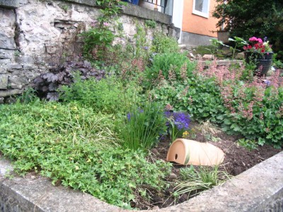 Bild 851.jpg