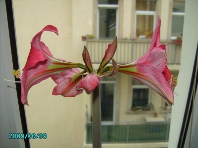 PICT0229.JPG