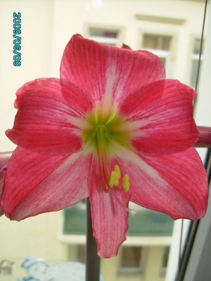 PICT0227.JPG