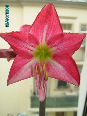 PICT0226.JPG