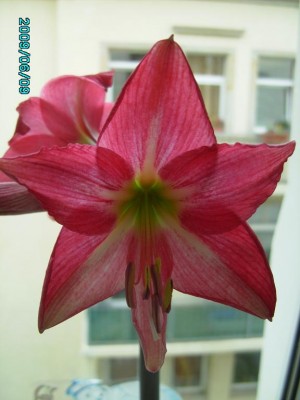 PICT0225.JPG