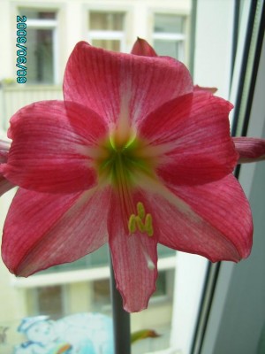 PICT0224.JPG