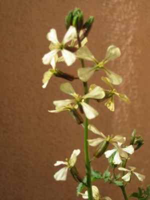 Bild 237_1067x800.jpg