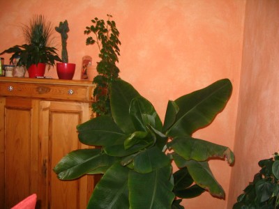 Bild 844.jpg