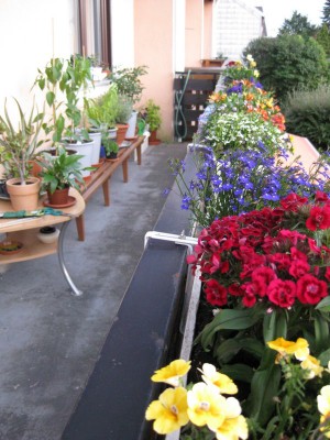 Bild 255_600x800.jpg