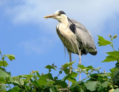 10.06.2009 .......jpg