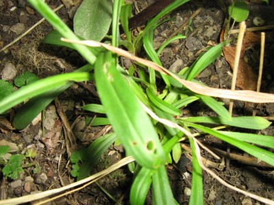 Unb08062.JPG