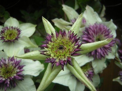 DSCN3563.JPG