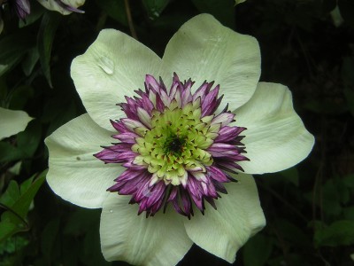 DSCN3562.JPG