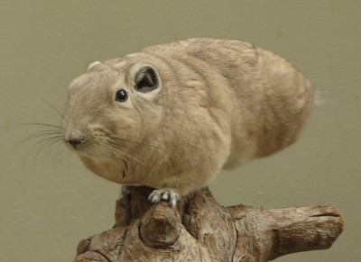 ein bisschen morgengymnastik.jpg