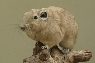 am morgen natürlich zuerst.jpg