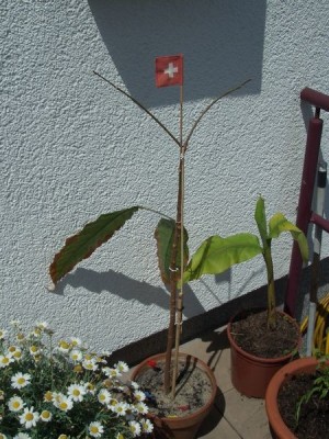 tn_CIMG7485.JPG