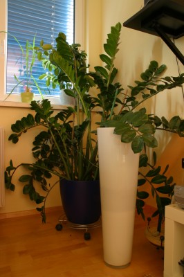 Bild 001.jpg