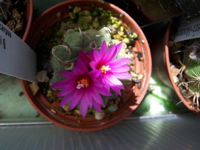 100_4862.JPG
