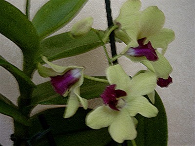 Bild3135.jpg