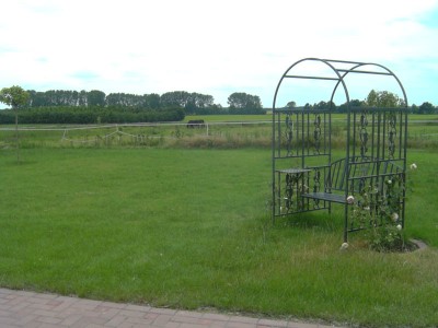 green 003.JPG