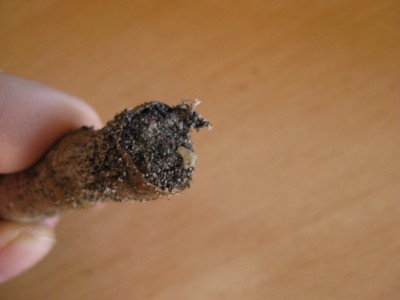 Bild 270_1067x800.jpg