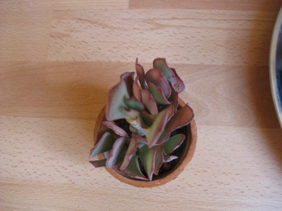 Bild 264_1067x800.jpg