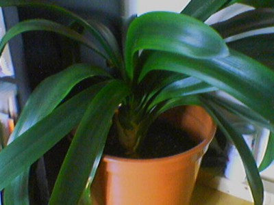090616_130233.jpg