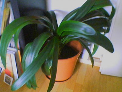 090616_130217.jpg