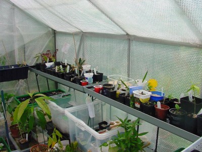 Wannen auf Regal.jpg