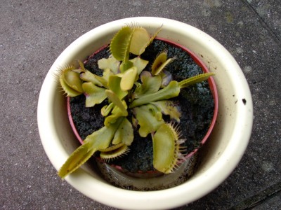 IMAG0097.JPG