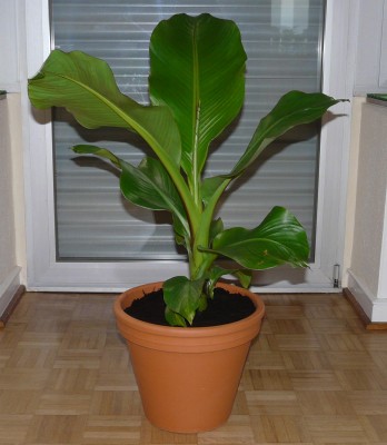 16.06.09 001.JPG