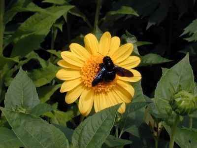 DSCN7518.JPG