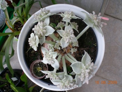 DSCN46380001.JPG