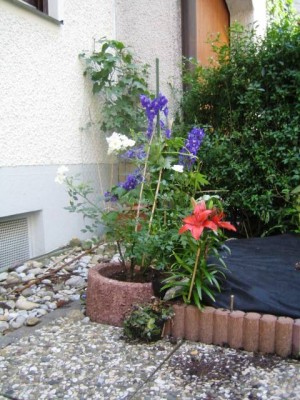 090403a 025-draussen.jpg