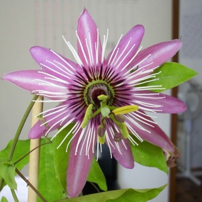 DSCI0691.JPG