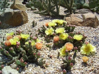 Malter  bis 25.5.09 056.jpg