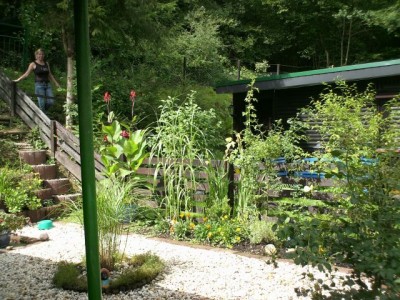 Eifel 18.08.2006 024.jpg