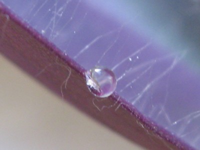 IMG_6215.JPG