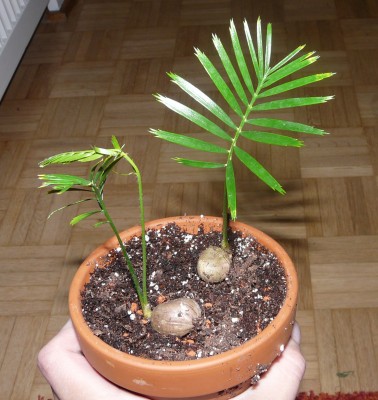 20.07.09 004.JPG