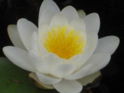 IMG_6381.JPG