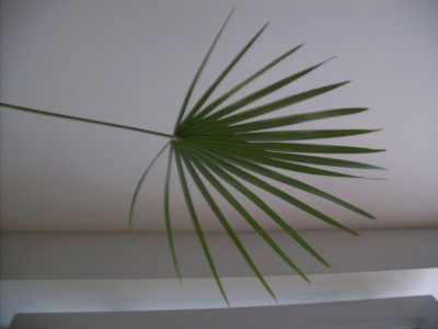 blatt.jpg
