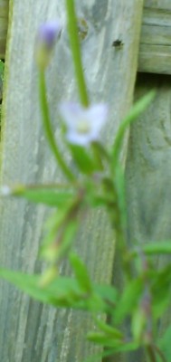Bild2.JPG