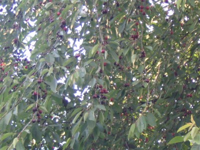 Bild 899.jpg