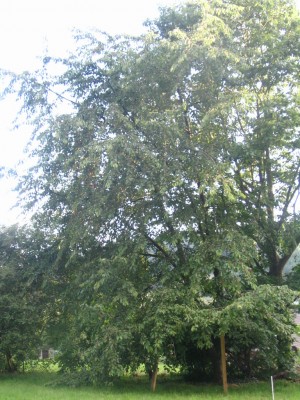 Bild 896.jpg
