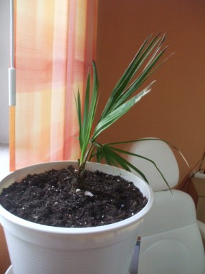 DSCF5565.JPG