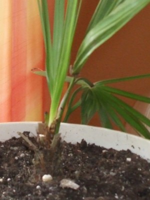 DSCF5564.JPG