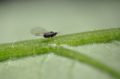 DSC_0043.jpg